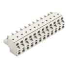 WAGO - 2-Leiter-Federleiste, Push-in CAGE CLAMP®, 2,5mm², lichtgrau