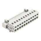 WAGO - 1-Leiter-Stiftleiste, CAGE CLAMP®, 2,5mm², lichtgrau