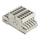 WAGO - 2-Leiter-Kombistecker, 100% fehlsteckgeschützt, 1,5mm², lichtgrau