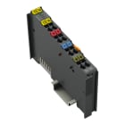 WAGO - 2-Kanal-Digitaleingang, DC 220 V, 3 ms, dunkelgrau