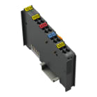 WAGO - 2-Kanal-Digitaleingang, DC 110 V, 3 ms, dunkelgrau