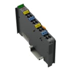 WAGO - 4-Kanal-Analogeingang, 4-20 mA, Single-Ended, dunkelgrau