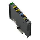 WAGO - 4-Kanal-Analogeingang, DC 0-10 V, Single-Ended, dunkelgrau