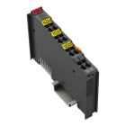 WAGO - 2-Kanal-Relaisausgang, AC250V, 1 A, dunkelgrau