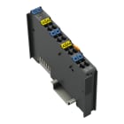 WAGO - 4-Kanal-Analogausgang, DC ±10 V, Extrem, dunkelgrau