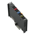 WAGO - Potentialeinspeisung, AC/DC 0-230V, Extrem, dunkelgrau