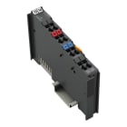 WAGO - Feldeinspeisefilter (Surge), DC24V, Höhere Isolation, dunkelgrau