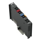 WAGO - Feldeinspeisefilter (Surge), DC24V, Höhere Isolation, dunkelgrau