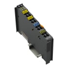 WAGO - Serielle Schnittstelle RS-232/485, Extrem, dunkelgrau