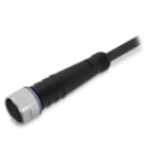 WAGO - Sensor-/Aktorleitung, M8-Buchse, axial, 4-polig, Länge 1,5 m