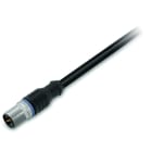 WAGO - Sensor-/Aktorleitung, M12A-Stecker, axial, 5-polig, Länge 10 m