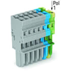 WAGO - 1-Leiter-Federleiste, CAGE CLAMP®, 4mm², grün-gelb/blau/grau