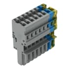 WAGO - 1-Leiter-Federleiste, CAGE CLAMP®, 4mm², grün-gelb/blau/grau