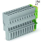 WAGO - 1-Leiter-Federleiste, CAGE CLAMP®, 4mm², grün-gelb/grau