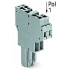 WAGO - 2-Leiter-Federleiste, CAGE CLAMP®, 4mm², grau