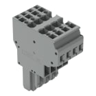 WAGO - 2-Leiter-Federleiste, CAGE CLAMP®, 4mm², grau
