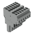 WAGO - 2-Leiter-Federleiste, CAGE CLAMP®, 4mm², grau