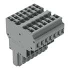 WAGO - 2-Leiter-Federleiste, CAGE CLAMP®, 4mm², grau
