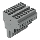 WAGO - 2-Leiter-Federleiste, CAGE CLAMP®, 4mm², grau
