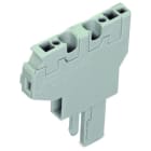 WAGO - 2-Leiter-Federleisten-Anfangsmodul, CAGE CLAMP®, 4mm², grau