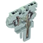 WAGO - 2-Leiter-Federleisten-Mittelmodul, CAGE CLAMP®, 4mm², grau