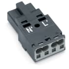 WAGO - Stecker, 2-polig, Kod. L, dunkelgrau