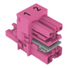 WAGO - h-Verteiler, 2-polig, Kod. B, pink