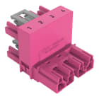 WAGO - h-Verteiler, 4-polig, Kod. B, pink