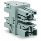WAGO - 3-fach-Verteiler, 2-polig, Kod. B, grau