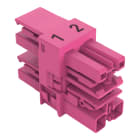 WAGO - 3-fach-Verteiler, 2-polig, Kod. B, pink