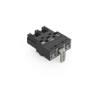 WAGO - Stecker, mit PE-Direktkontakt, 3-polig, schwarz