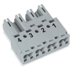 WAGO - Stecker, 4-polig, Kod. B, grau