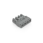 WAGO - Stecker, 4-polig, Kod. B, grau