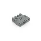 WAGO - Stecker, 4-polig, Kod. B, grau
