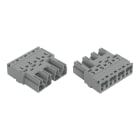 WAGO - Stecker, 4-polig, Kod. B, grau