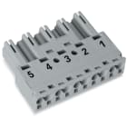 WAGO - Stecker, 5-polig, Kod. B, grau