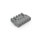 WAGO - Stecker, 5-polig, Kod. B, grau