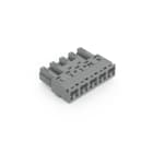 WAGO - Stecker, 5-polig, Kod. B, grau