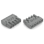 WAGO - Stecker, 5-polig, Kod. B, grau