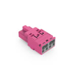 WAGO - Stecker, 2-polig, Kod. B, pink