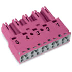 WAGO - Stecker, 5-polig, Kod. B, pink