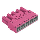 WAGO - Stecker, 5-polig, Kod. B, pink