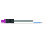 WAGO - konfektionierte Anschlussleitung, Eca, Stecker/offenes Ende, pink