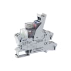 WAGO - Relaismodul, Eingangsnennspannung DC24V, 1 Wechsler