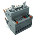 WAGO - Interface Adapter, 14-polig, Eingang plusschaltend