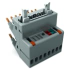 WAGO - Interface Adapter, 14-polig, Ausgang plusschaltend