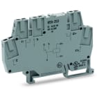 WAGO - Relaismodul, Eingangsnennspannung AC/DC24V, 1 Wechsler, grau