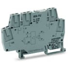 WAGO - Optokopplermodul, Eingangsnennspannung AC 230V, Ausgang DC 20-30 V, grau