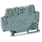 WAGO - Optokopplermodul, Eingangsnennspannung DC24V, Ausgang DC 3-30 V, grau