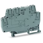 WAGO - Optokopplermodul, Ausgang DC 3-31, 2 V, Grenzdauerstrom 3A, grau